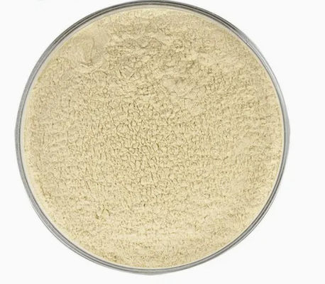 Extracto de feijão branco para manter a saúde e promover o crescimento CAS NO 85085-22-9
