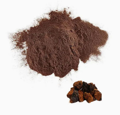 10% a 50% de polissacarídeos naturais Extracto de Chaga Extracto em pó CAS 84650-60-9