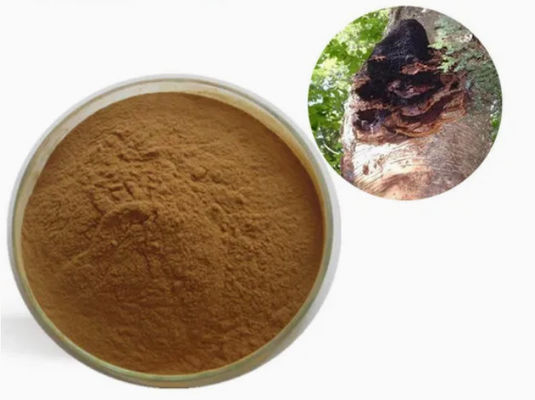 10% a 50% de polissacarídeos naturais Extracto de Chaga Extracto em pó CAS 84650-60-9