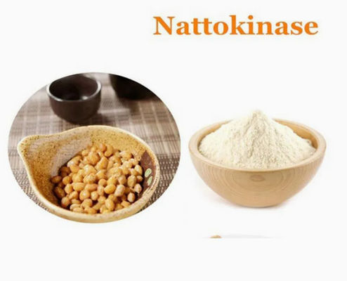 Ingrediente Natural Cuidados de Saúde Enzimas Nattokinase Extract CAS 133876-92-3 Nattokinase