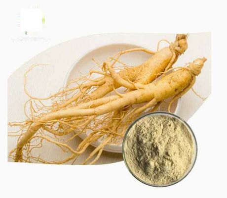 Extracto de ginseng orgânico natural de alto grau CAS NO 90045-38-8 Saponinas monoméricas de ginseng