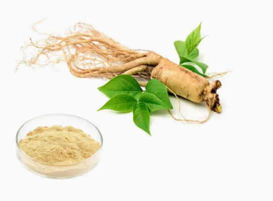 Extracto de ginseng orgânico natural de alto grau CAS NO 90045-38-8 Saponinas monoméricas de ginseng