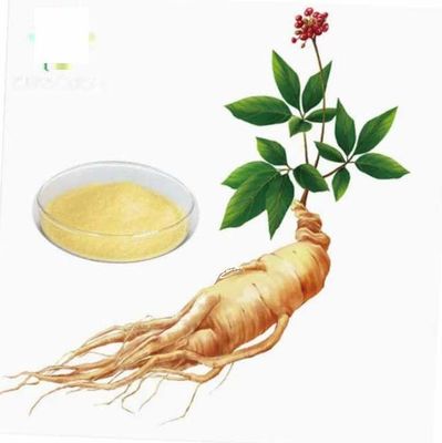 Extracto de ginseng orgânico natural de alto grau CAS NO 90045-38-8 Saponinas monoméricas de ginseng