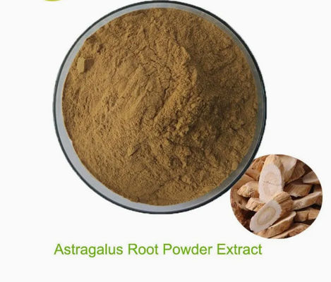 Extracto de Astragalus com Astragaloside A Cicloastragenol Polissacarídeos CAS 84687-43-4