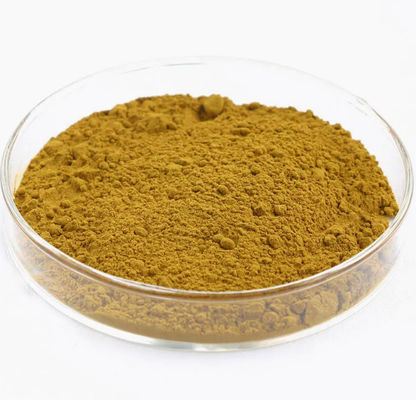 Extracto de Astragalus com Astragaloside A Cicloastragenol Polissacarídeos CAS 84687-43-4