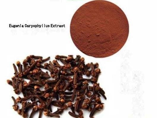 Eugenia Caryophyllus Extract CAS NO 84961-50-2 Produtos de saúde nutricional