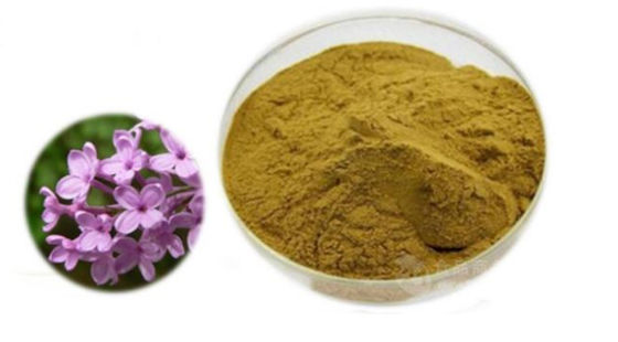 Eugenia Caryophyllus Extract CAS NO 84961-50-2 Produtos de saúde nutricional
