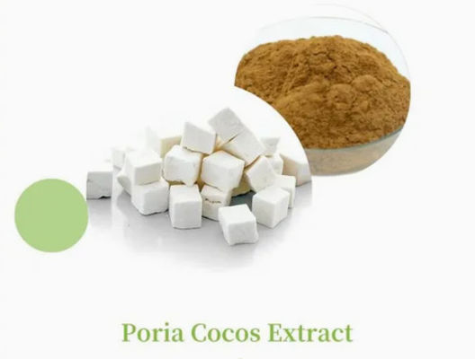 Herbway Plant Extract Powder Poria Cocos Extract CAS NO 65637-98-1 50% Polissacarídeo