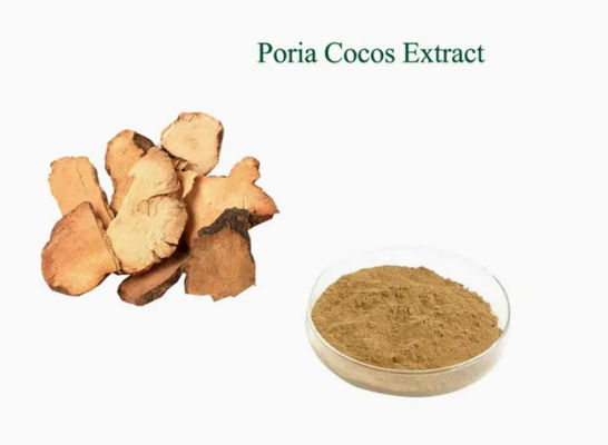 Herbway Plant Extract Powder Poria Cocos Extract CAS NO 65637-98-1 50% Polissacarídeo