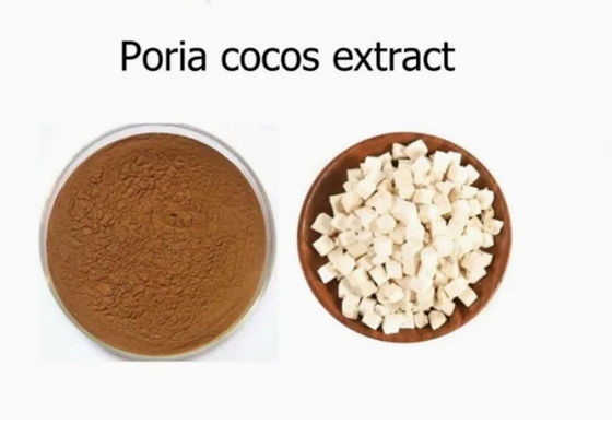 Herbway Plant Extract Powder Poria Cocos Extract CAS NO 65637-98-1 50% Polissacarídeo