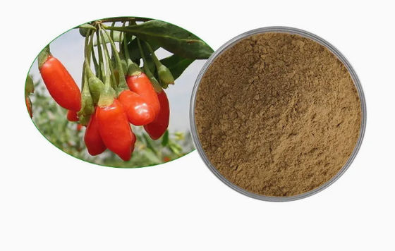 Extracto Natural Puro Antioxidante de Wolfberry CAS NO 11-40-5 Extracto de Goji Berry