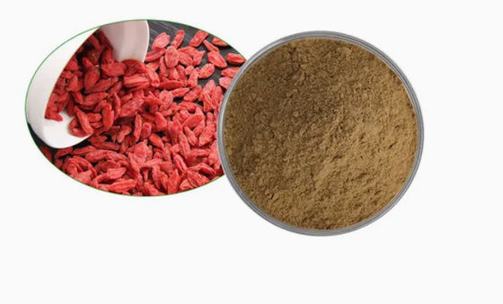 Extracto Natural Puro Antioxidante de Wolfberry CAS NO 11-40-5 Extracto de Goji Berry