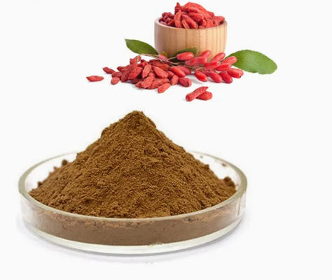 Extracto Natural Puro Antioxidante de Wolfberry CAS NO 11-40-5 Extracto de Goji Berry