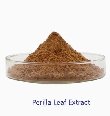 Extracto de folha de perilla orgânica natural CAS NO 90082-61-4 Ervas anuais em pó