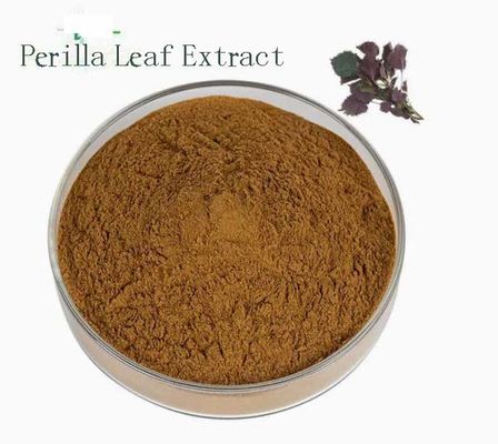 Extracto de folha de perilla orgânica natural CAS NO 90082-61-4 Ervas anuais em pó