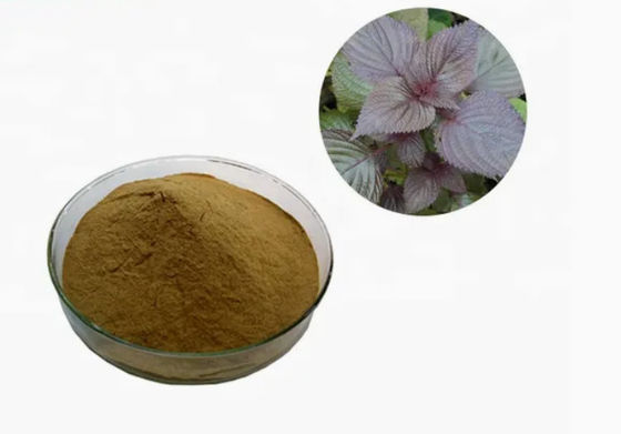 Extracto de folha de perilla orgânica natural CAS NO 90082-61-4 Ervas anuais em pó