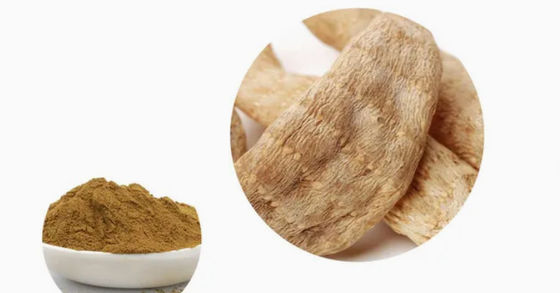 Farmácia Saúde Gastrodia Elata Extractos CAS NO 62499-27-8 Gastrodia Elata BL