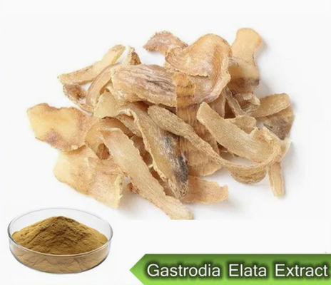 Farmácia Saúde Gastrodia Elata Extractos CAS NO 62499-27-8 Gastrodia Elata BL