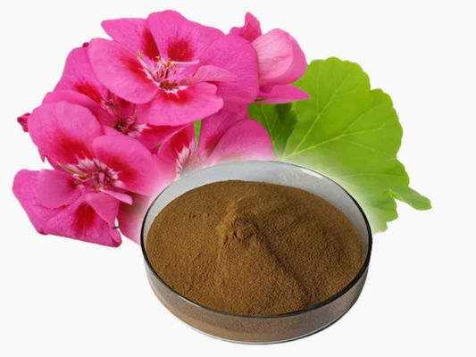 Extracto de gerânio em pó, de qualidade alimentar, orgânico CAS NO 8000-46-2 Pelargonium Hortorum