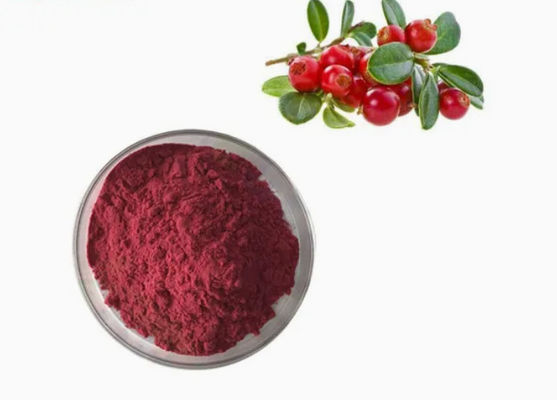 Extractos de Cranberry puros naturais frescos CAS NO 84929-27-1 Pólo 25% de antocianidina