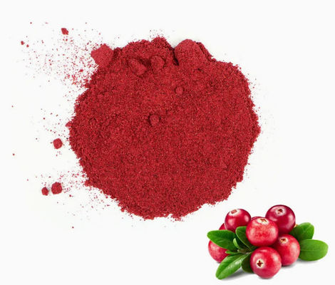 Extractos de Cranberry puros naturais frescos CAS NO 84929-27-1 Pólo 25% de antocianidina