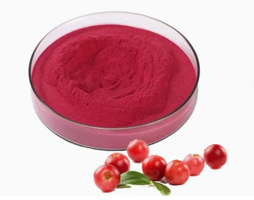 Extractos de Cranberry puros naturais frescos CAS NO 84929-27-1 Pólo 25% de antocianidina