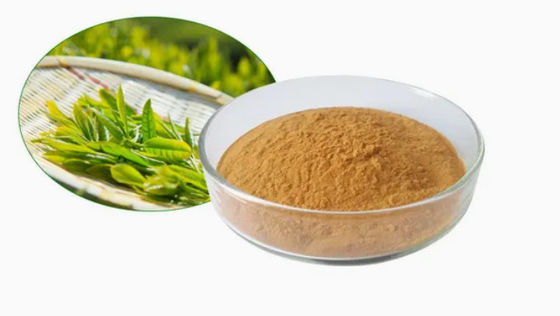 Extracto de chá verde de qualidade alimentar, de origem vegetal, n.o Cas 989-51-5 Camellia Sinensis o.ktze