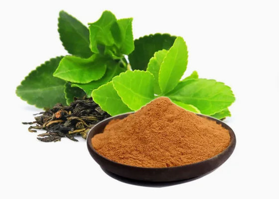 Extracto de chá verde de qualidade alimentar, de origem vegetal, n.o Cas 989-51-5 Camellia Sinensis o.ktze