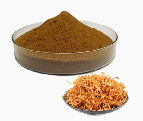 Cordyceps Militaris em pó orgânico enriquecido com selénio cAS NO 73-03-0 Cogumelo medicinal