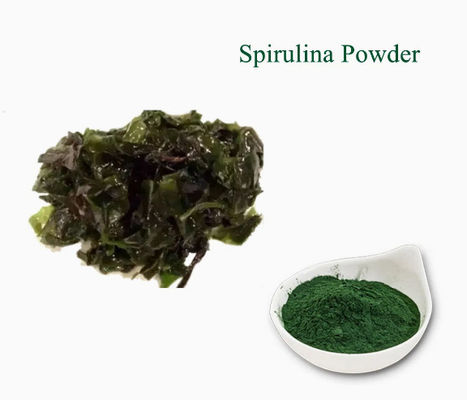 Extractos vegetais Suplemento de cuidados de saúde Spirulina CAS NO 724424-92-4 Alga verde em pó