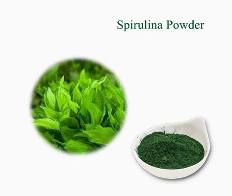 Extractos vegetais Suplemento de cuidados de saúde Spirulina CAS NO 724424-92-4 Alga verde em pó