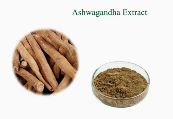 Extracto de Ervas Ashwagandha Extractos Ayurvédicos CAS NO 90147-43-6 5% Witanolide em pó