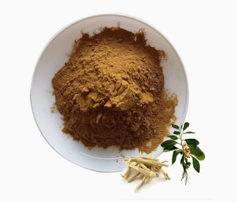 Extracto de Ervas Ashwagandha Extractos Ayurvédicos CAS NO 90147-43-6 5% Witanolide em pó