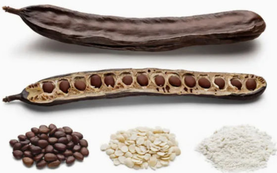 Goma de alface em pó de qualidade cosmética de alimentos orgânicos CAS NO 9000-40-2 Goma de feijão de gafanhoto
