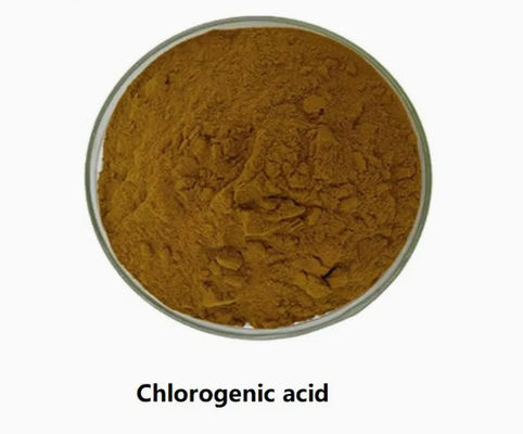 Materiais-primas ou intermediários farmacêuticos essenciais Ácido clorogénico CAS NO 327-97-9 Pólo