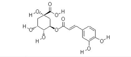 Materiais-primas ou intermediários farmacêuticos essenciais Ácido clorogénico CAS NO 327-97-9 Pólo