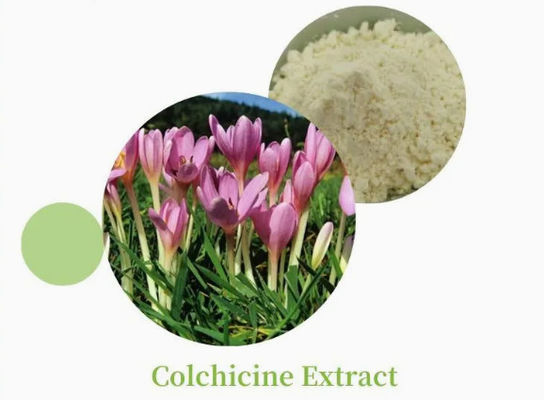 Farmacêutico CAS n.o 64-86-8 Extracto de colchicina USP/Ep 97~103% Colcemid Colchicina