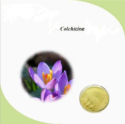 Farmacêutico CAS n.o 64-86-8 Extracto de colchicina USP/Ep 97~103% Colcemid Colchicina