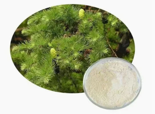 Suplemento natural Taxifolina diidroquercetina 80% 95% 98% CAS NO 480-18-2 extrato em pó