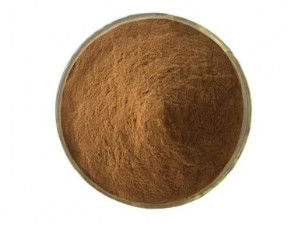 Biológico 10:1 Fructus Phyllanthi Extract CAS NO 90028-28-7 Fructus Phyllanthi Extract