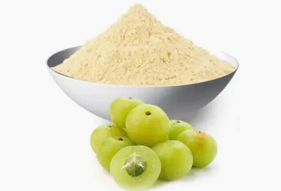 Biológico 10:1 Fructus Phyllanthi Extract CAS NO 90028-28-7 Fructus Phyllanthi Extract