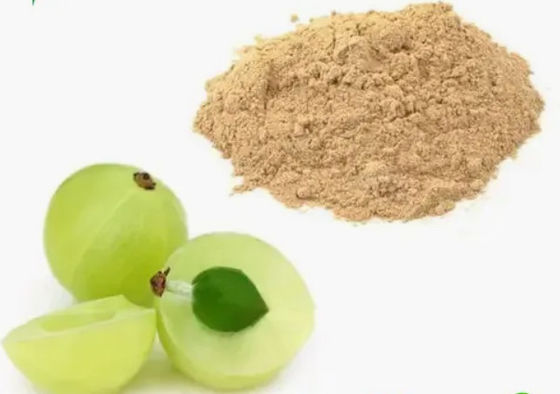 Biológico 10:1 Fructus Phyllanthi Extract CAS NO 90028-28-7 Fructus Phyllanthi Extract