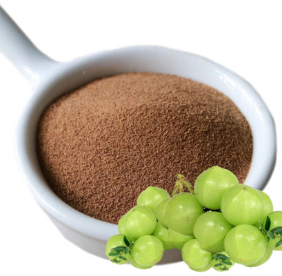 Biológico 10:1 Fructus Phyllanthi Extract CAS NO 90028-28-7 Fructus Phyllanthi Extract