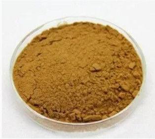 100% Extracto de Fumaria Natural CAS NO 10097-84-4 10% Taninos Extracto de Fumaria Officinalis
