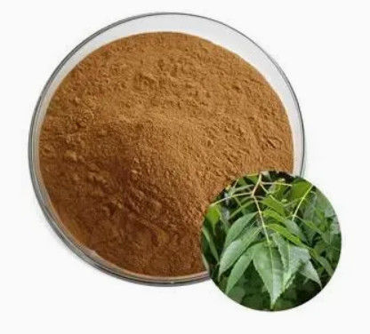 CAS NO 68915-32-2 Extracto de Picrasma quassioides Medicina chinesa e farmacologia moderna