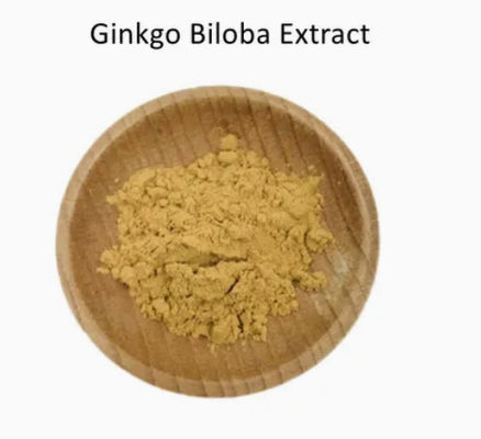 Farmacêutica Saúde Ginkgo Biloba Extract CAS NO 84696-15-1 Puro pó natural
