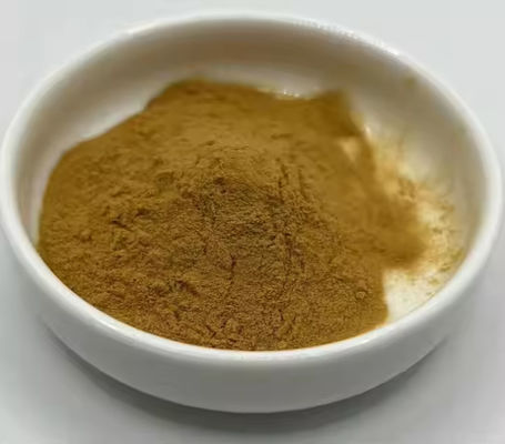 Farmacêutica Saúde Ginkgo Biloba Extract CAS NO 84696-15-1 Puro pó natural