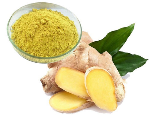 Farmacêutica Saúde Ginkgo Biloba Extract CAS NO 84696-15-1 Puro pó natural