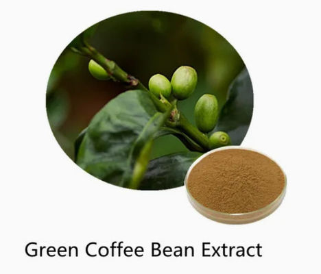 Farmacêutico Saúde Extracto de Grão de Café Verde CAS NO 327-97-9 Pó natural puro