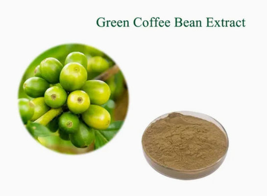 Farmacêutico Saúde Extracto de Grão de Café Verde CAS NO 327-97-9 Pó natural puro